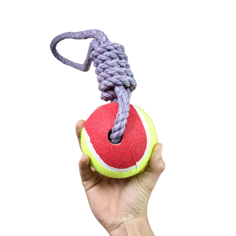 Nature Purple Big Hard Rubber Tennis Ball Knotted Dog Rope Toy