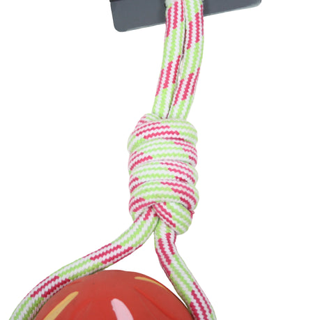 KolloPet Multicoloured Rubber Ball & Rope Dog Toy