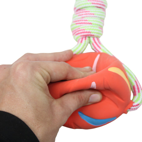 KolloPet Multicoloured Rubber Ball & Rope Dog Toy