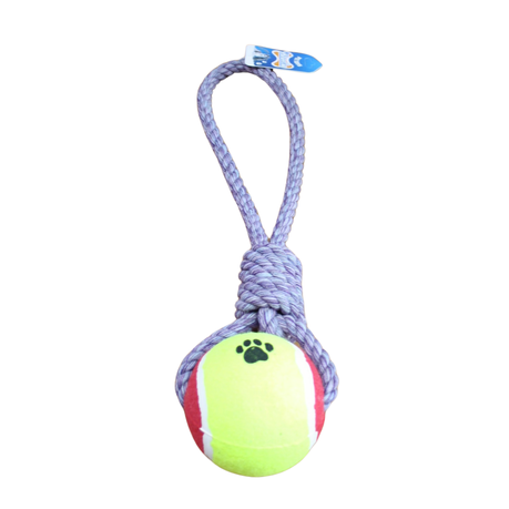 Nature Purple Big Hard Rubber Tennis Ball Knotted Dog Rope Toy