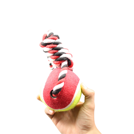 Nature One Red & Black Big Hard Rubber Tennis Ball Knotted Dog Rope Toy